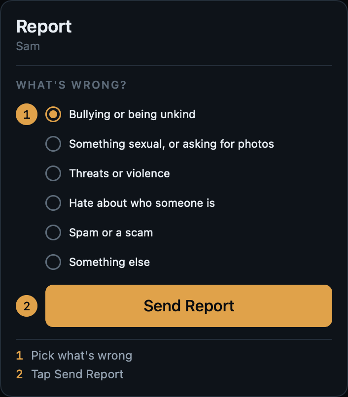 The report form. "What's wrong?" with a list of reasons, one chosen as step 1, and the Send Report button ringed as step 2.